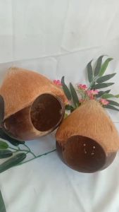 Glodok Burung Parkit | Rumah Burung Batok Kelapa