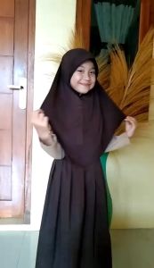Hijab Hamidah Jilbab Anak sd Kerudung instan