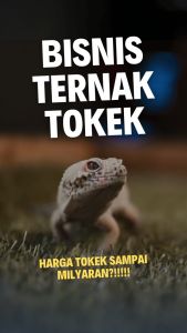 Buku SPM: Kaya dari Bisnis Tokek