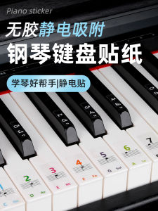 Nano Piano Keyboard Sticker Kids/61/54 Key Electronic Keyboard Adult Neutral Staff Glue-Free Note Sticker