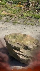 NASARA ~ Double Face Spring PVC Handle Sledge Hammer Anti Vibration Handle 8LB / 10LB / 12LB / Tukul Besi