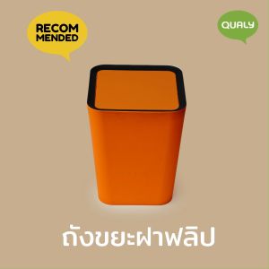Mini Square Flip Bin ถังขยะดีไซน์ สี่เหลี่ยม ฝาฟลิป ขนาดเล็ก  Qualy (ควอลี่)