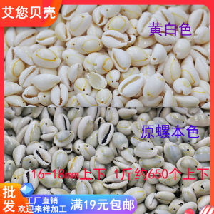 Natural Gold Edge Sea Snail Small Shell Beads DIY Craft Material Bracelet Necklace Pearl Mother of Pearl Fashion Jewelry Accessories