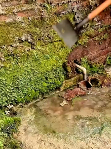 พลั่ว พลั่วเหล็ก พรวนดิน เสียมขุดดิน เครื่องมือทำสวน เหล็กแมงกานีสหนา ทนทาน ไม่เสียรูปทรง ไม่แตกหัก ง่ายต่อการพลั่วดิน แข็งแรงและทนทาน พลั่วทำความสะอาดอเนกประสงค์