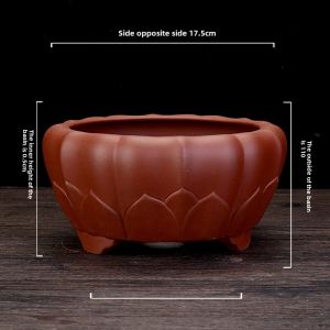Purple Sand Flower Pot Boutique Circle and Creative Lotus Shaped Flower Pot Diospyros Armata Banyan Old Pile Balcony Florals Green Plant Landscape