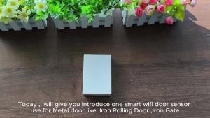 Tuya WIFI Smart Door Window Magnetic Sensor Security Alarm Open Closed Detector for Anti-theft Door Iron Rolling Door Iron Gate