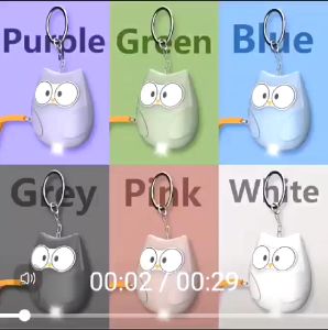 Owl Personal Alarm H5 Womens Anti-Wolf Artifact Outdoor Children Student Emergency Self-Defense Keychain