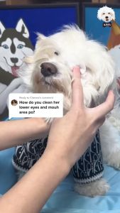 Luscious 150 pcs Gentle Paws Pet Natural Organic Plant Based EYE and EAR Wipes EPI Pure Water with Aloe Vera Extract