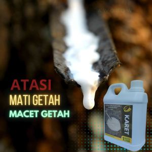 Pupuk Memperbanyak Getah Karet Pupuk Mati Getah Karet Pupuk Penderas Getah Karet / Pupuk POHON KARET