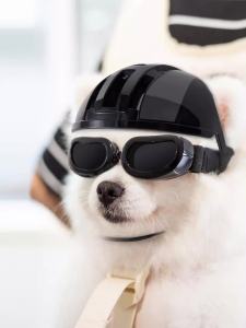 HamshMoc Pet Helmet Ear Open Design Shock Absorption Ventilation Multi Protection Safety