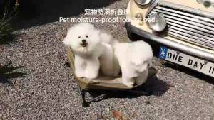 HamshMoc Heavy Duty Elevated Pet Cot 20cm Anti-Damp X-Brace Stability Chew Proof 600D Oxford Foldable for Indoor Outdoor