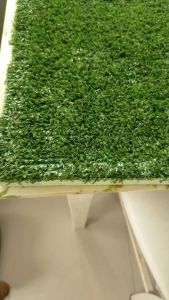 หญ้าเทียม Urbano Grass พรีเมี่ยม เส้นหญ้ายาว 0.7 มิลเส้นหญ้าและฐานรองเคลือบกันแดดพิเศษมีรูระบายน้ำปลอดภัยสำหรับจัดสวนแต่งบ้านปูคอนโดงานอีเว้นท์ราคาถูก