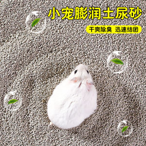 Hamster Litter Summer Products Absorbent Water Corn Core Hedgehog Gold Retriever Toilet Urinal Sand Cooling Pad Wood Shavings