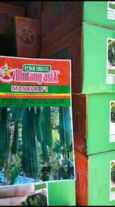Bibit Oyong Maskur F110gr Bintang Asia 10 gram