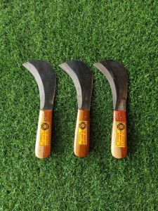 "มีดปลอกเปลือกทุเรียน" ความยาว 10.5 นิ้ว อรัญญิก ช.คมสมใจ