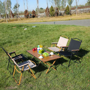 LINSI | Portable Camping Chair Outdoor Folding