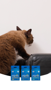 PooPNGo 99.99% Premium Quality  6 Packs Bundles Mixed Tofu Cat Litter 2KG/6L 70% Tofu 30% Bentonite