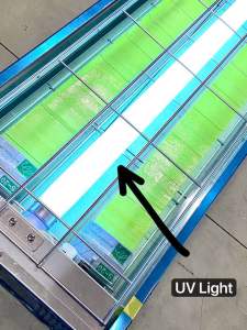 Mushipon UV-Light FL20SBL White for MPX 2000/ MP2300