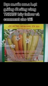 5gr Hạt giống ớt sừng vàng Trang Nông TN223