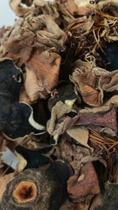 木棉花 100g Bunga Mukmin 養生茶  花茶 中药 Gossampini Flos Bunga Ratu Pari