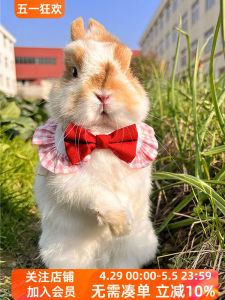 UMI Pet Rabbit Going out Clothes Scarf Guinea Pig Decorative Cute Bunny Bows Cat Puppy Scarf