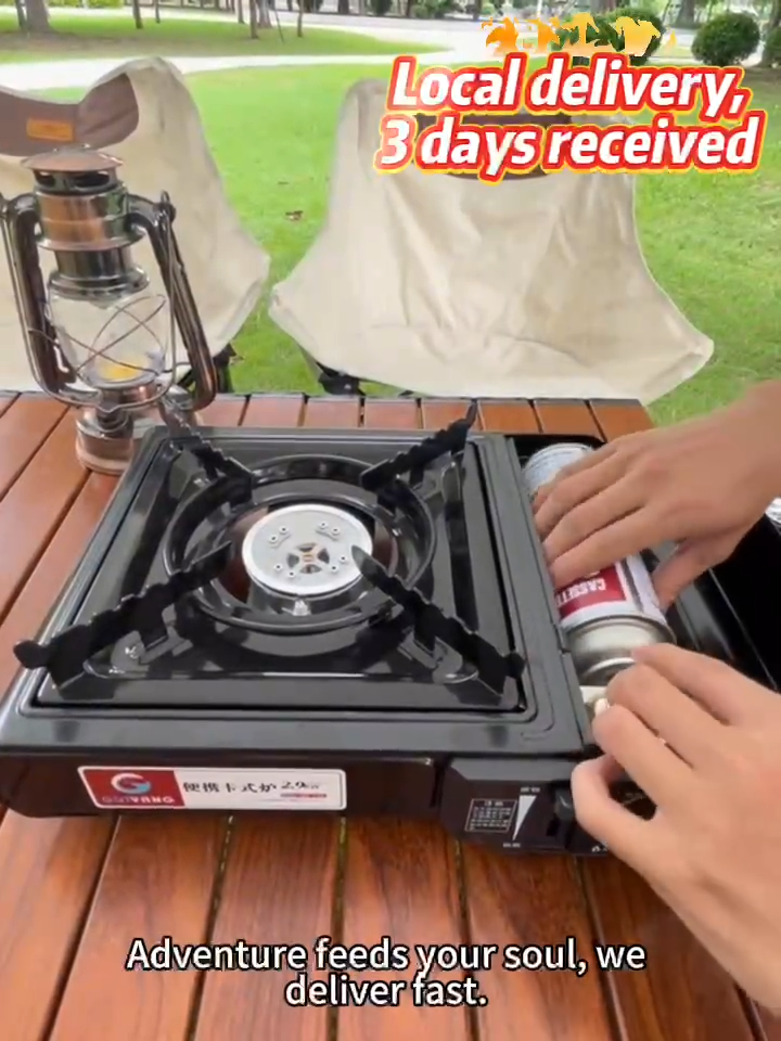 Portable Gas Stove 2-in-1 Compatible with Butane & LPG Fuel Adapter Hose Included Carrying Case Auto Ignition 7800 BTU