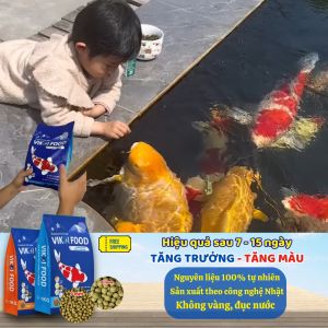 THỨC ĂN CAO CẤP CÁ KOI CÔNG NGHỆ NHẬT BẢN GIÚP TĂNG TRƯỞNG NHANH TĂNG MÀU SAU 1 TUẦN SỬ DỤNG VIKOI