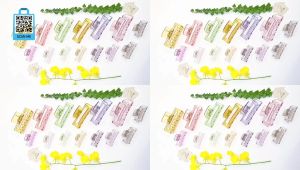 Kẹp tóc nữ hàn quốc cute phụ kiện bé gái kẹp càng cua nhiều răng trung gắp tóc trong suốt chữ nhật xinh đẹp Hàn Quốc cao cấp - thương hiệu Vợ Chồng Tôi