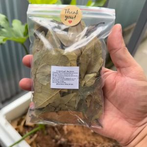 Lá nguyệt quế khô bay leaves túi 20g - hàng nhập khẩu Đức - dùng làm gia vị nấu ăn