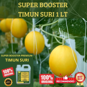 Pupuk Timun Suri 1 LT Supaya Cepat Berbuah Pupuk Timun Suri Supaya Subur Berbuah Cepat Besar