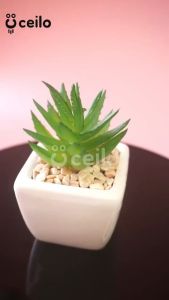 CEILO Kaktus Sukulen Artificial Premium Tebal Cactus Succulent Tanaman Dekorasi Bunga Hias Pot Keramik untuk Kado