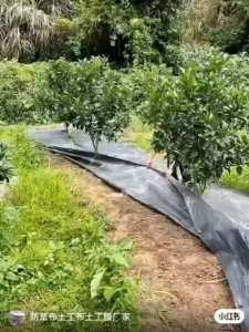 Anti- cloth garden greenhouse agricultural ing cloth permeable black PP ing cloth