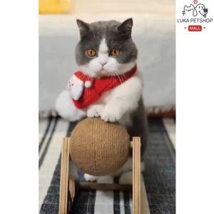 Luka😊พร้อมส่ง💯 ของเล่นแมว ที่ฝนเล็บแมว ลูกบอล คอนโดแมว ที่ฝนเล็บแมวใหญ่ ที่ลับเล็บแมวขนาดใหญ่