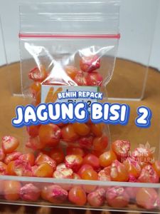 Benih Jagung Bisi-2 Unggulan Berkualitas biji bibit repack cap kapal terbang isi 2 hydroponik hidroponik sayuran tanaman sayur