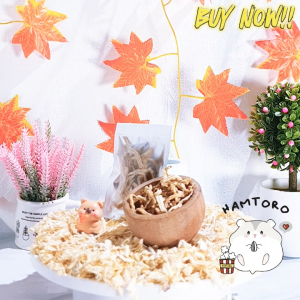 Snack Papaya Untuk Hewan Peliharaan: Hamster, Sugar Glider & Kelinci