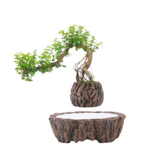 กระถางพืชสำหรับเครื่องประดับตกแต่งบ้าน 350กรัม ระงับมากของมาเคลื่อนไหว การใช้งานไม่รวมน้ำหนัก