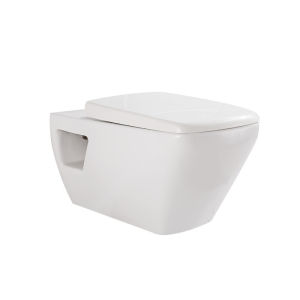 Wall Hung Toilet Space Saving Hidden Tank Water Saving