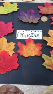 (3 helai) Daun Maple Daun Musim Gugur Pakis Kering Dried Mapple Leaf Dekorasi Rustik Properti Foto