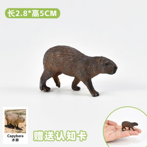 Đồ Chơi Mô Hình Chuột Đuôi Dài Thực Tế Đồ Chơi Động Vật Hoang Dã Đồ Trang Trí Giáo Dục Đồ Chơi Trẻ Em Đồ Chơi Mô Hình Động Vật Nhai