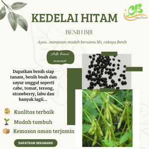 Benih kedelai hitam isi (100 butir)