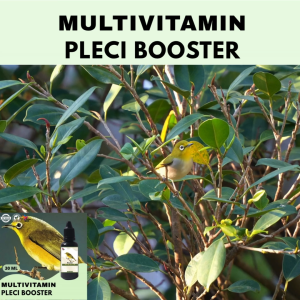 Vitamin Burung Gacor 30 ml Untuk Pleci Vitamin Penggacor Burung Rekomendasi Burung Kicau