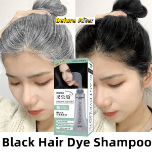 Fruit Black Hair Dye Cream Cover White Hair Natural Herbal Essence No Dioxygen Fast Colour Harmless Gentle non-irritating fast men women100ML染膏一梳黑植物染发剂