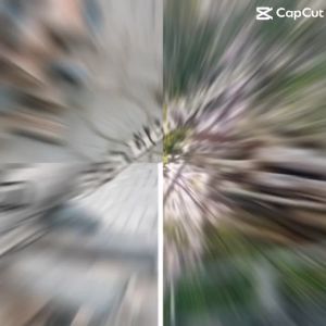 COMBO 10KG CỦI KHÔ LOẠI TRÒN