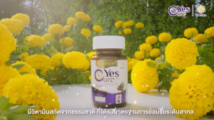 Yes Care Marizea  Real Elixir [ จำนวน 6 กระปุก บรรจุ 30 เม็ด/กระปุก ] แถมฟรี กาแฟ Abalone Coffee [ 1 กล่อง บรรจุ 10 ซอง ] รับประกัน ฮาลาล ของแท้