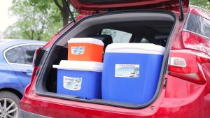 LENODI - Cooler Box 5liter，8liter，13liter，26L Cool Box，Kotak Penyimpanan Es Makanan Wadah Serba Guna