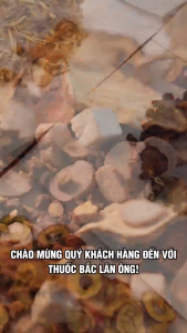 Hoàng liên bắc 500g (Chi hoàng liên hàng loại 1)