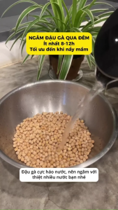 Đậu gà (Chickpea) Sachifood nhập khẩu Không biến đổi gen - Giàu dinh dưỡng bổ sung protein vitamin