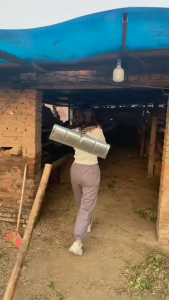 Manure scraper shovel Manure Rake Cleaning Rake Head Manure • Manure scraper manure shovel Manure Rake Cleaning Rake