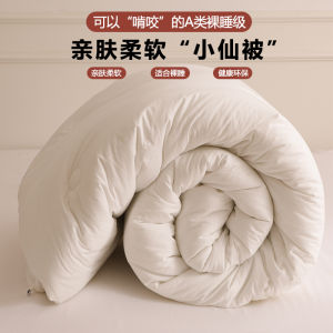 Double Spring & Fall Quilt Inner All Year Round Neutral Summer Air Conditioning Comforter Summer Quilt Student Single Quilt Winter Quilt Thickened