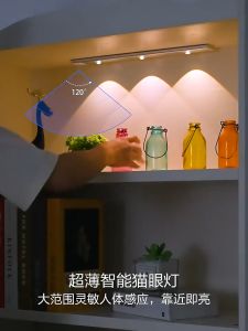 20/30/40/60CM 3 Colors Motion Sensing LED Kitchen Cabinet Light USB Rechargeable Dimmable Cat Eye Light Bar Room Wireless Night Light Bedroom Wine Cabinet Wall Light Indoor Display Light